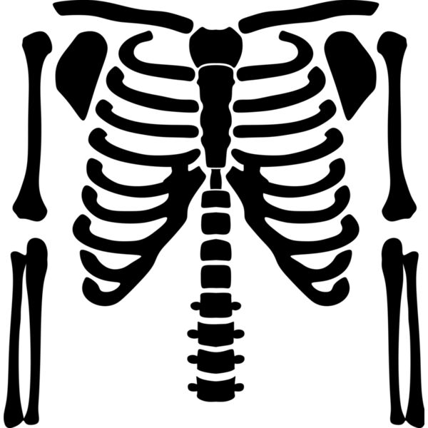 Skeleton Tee Thumbnail